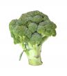 Broccoli.