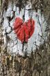 Love heart
