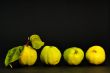 Quince fruit