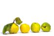 Quince fruit