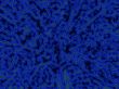 Blue abstract background