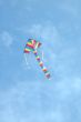 striped kite