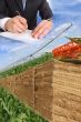 layout for agriculture