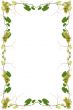 Vines