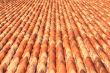 tiled roof