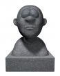 bust