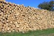 a wood