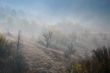 Foggy Hill Slope in the Late Fall