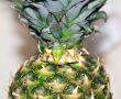 Image of big appetizing pineapple background