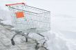 Shopping cart