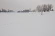 Winter landscape