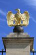 eagle