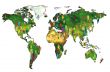 World Population