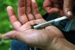 Cigarette with marihuana