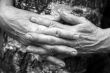 Hands 