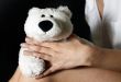 Toy bear