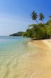 Deserted beach with palm trees 