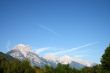 forest and mountains