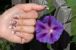 manicure and blue flower 