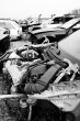 vehicle accident