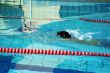 man swimming in pool