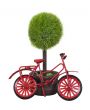 Red Bicycle Leaning Against Potted Tree
