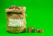 Sack and row of coins
