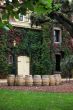 Napa valley vineyard, California