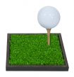 Golf Ball on a Tee on Green Grass