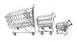 Family Shopping Carts