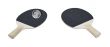 Ping Pong Paddles with a Globe for a Ball