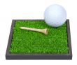 Golf Ball and Tee Laying on the Grass