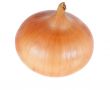 onion