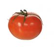 red tomato