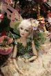 Fairy
