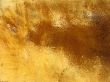 Yellow background