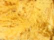 Yellow background