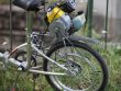 moped