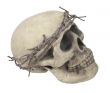 Skull Wearing Barbed Wire Crown