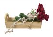 Skeleton Laying in a Wooden Box with Roses