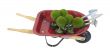 Wheelbarrow with Plants and Tools