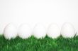 white eggs