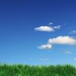 Beautiful weather 