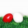 Red and white egg 