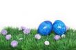 Two blue eggs 