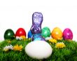 Colorful Easter decoration 