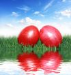 Red eggs in the grass 