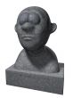 cartoon bust