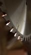 Circular Saw