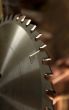 Circular Saw